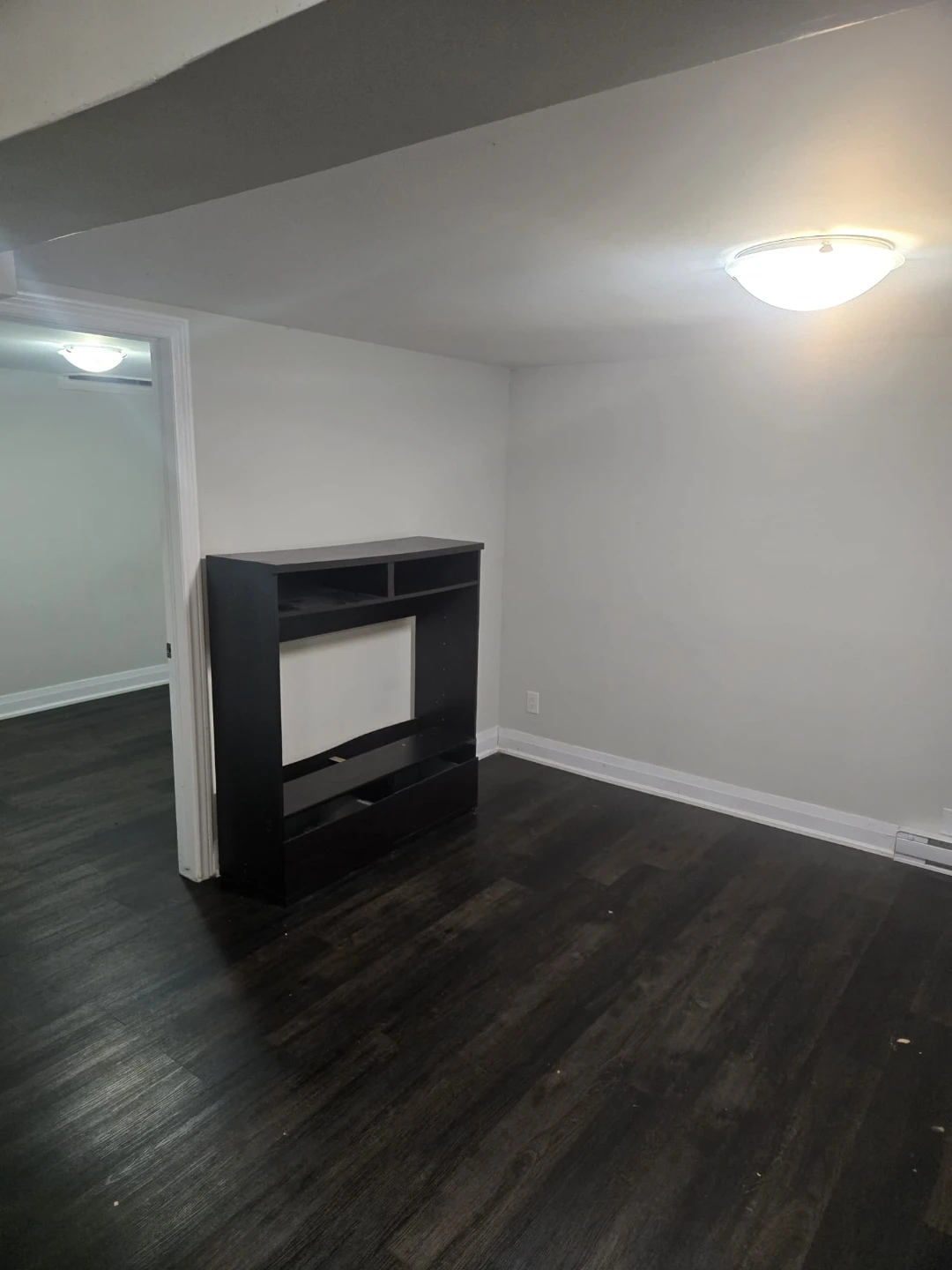 Basement for Rent - Central Park - photo 2
