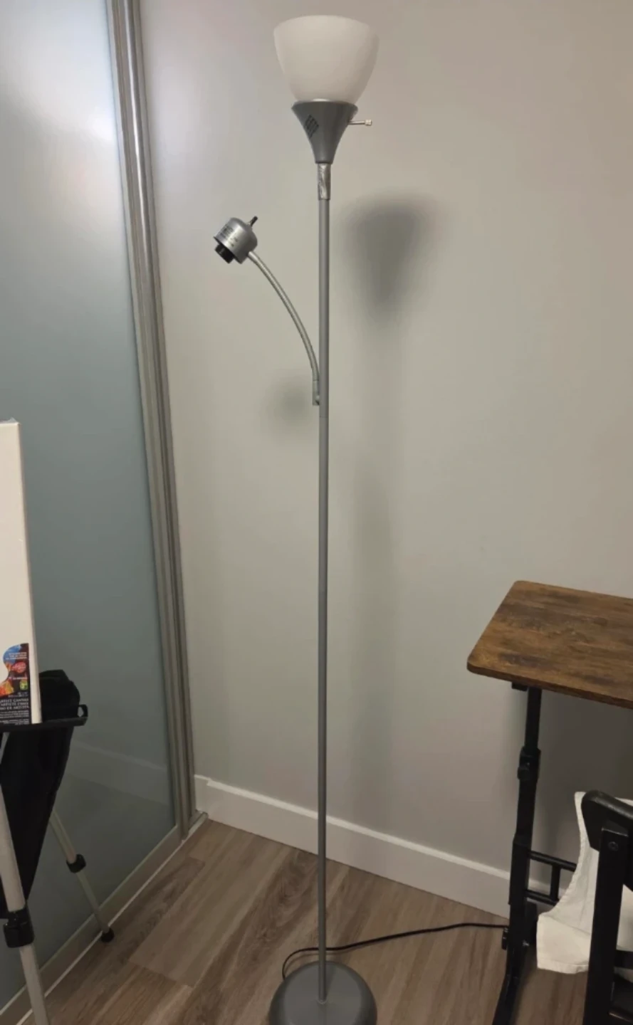 Floor Lamp with Adjustable Reading Light