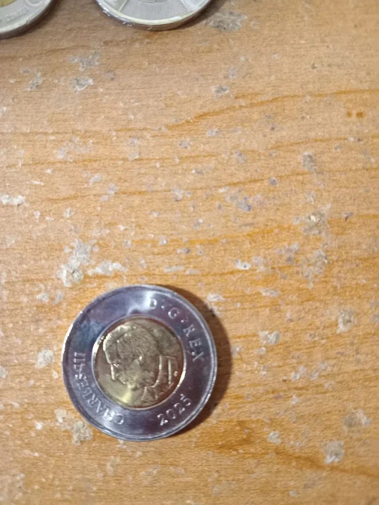 Special Canadian Toonies image indicator(3)