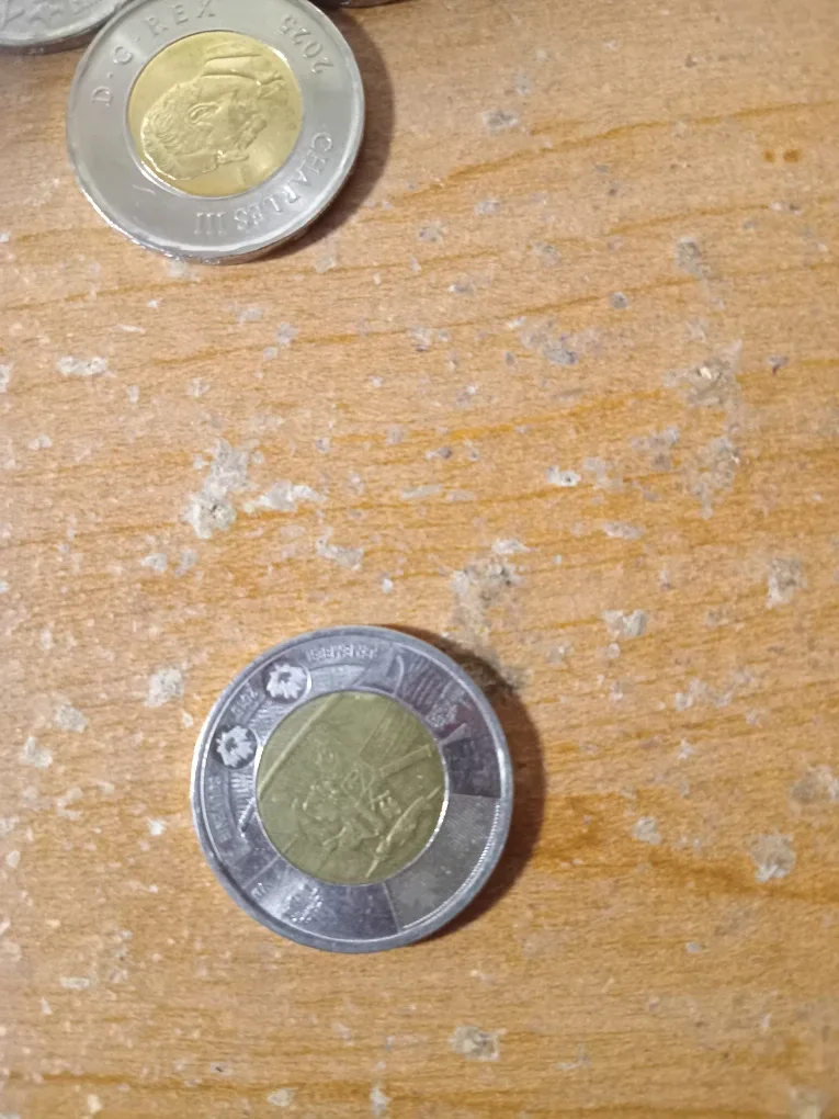 Special Canadian Toonies image indicator(4)