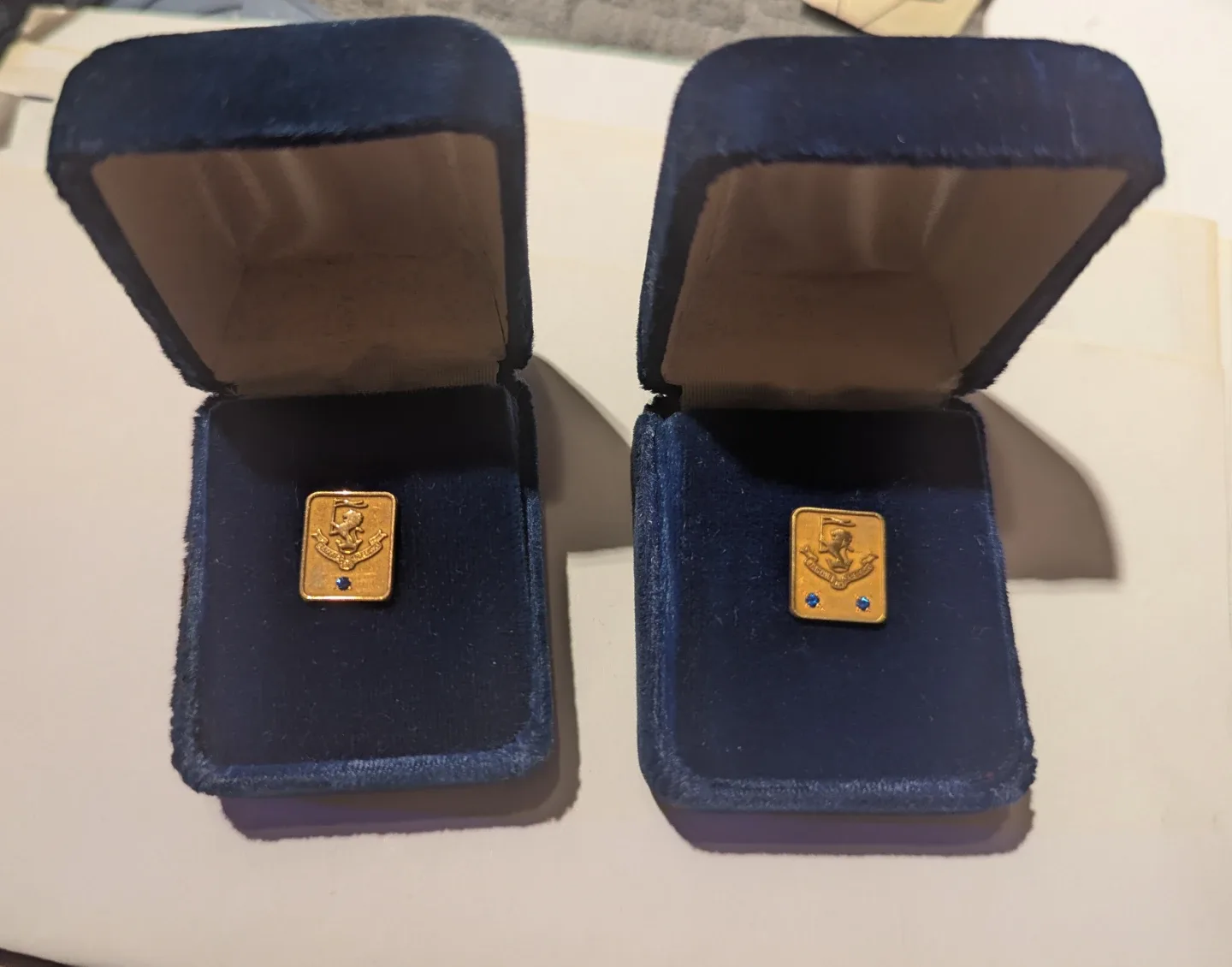 Vintage Gold Pin with Case