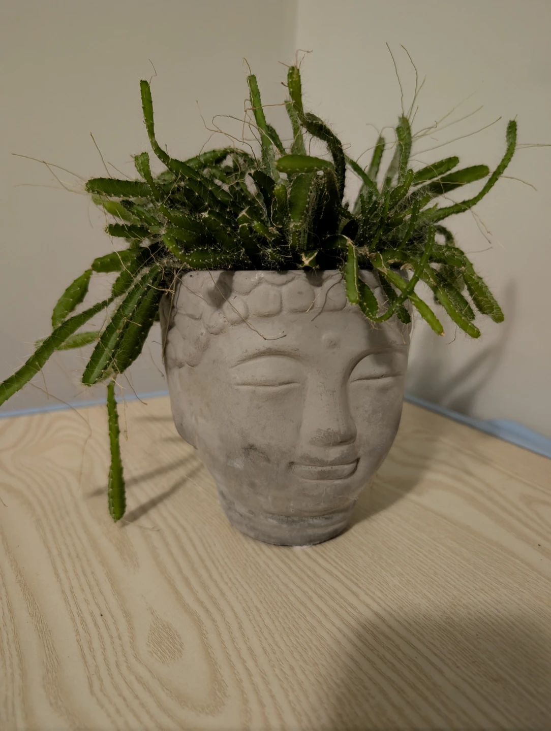 Buddha Head Planter with Plant - photo 2