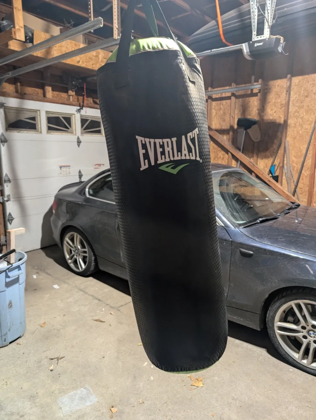 Everlast Heavy Punching Bag