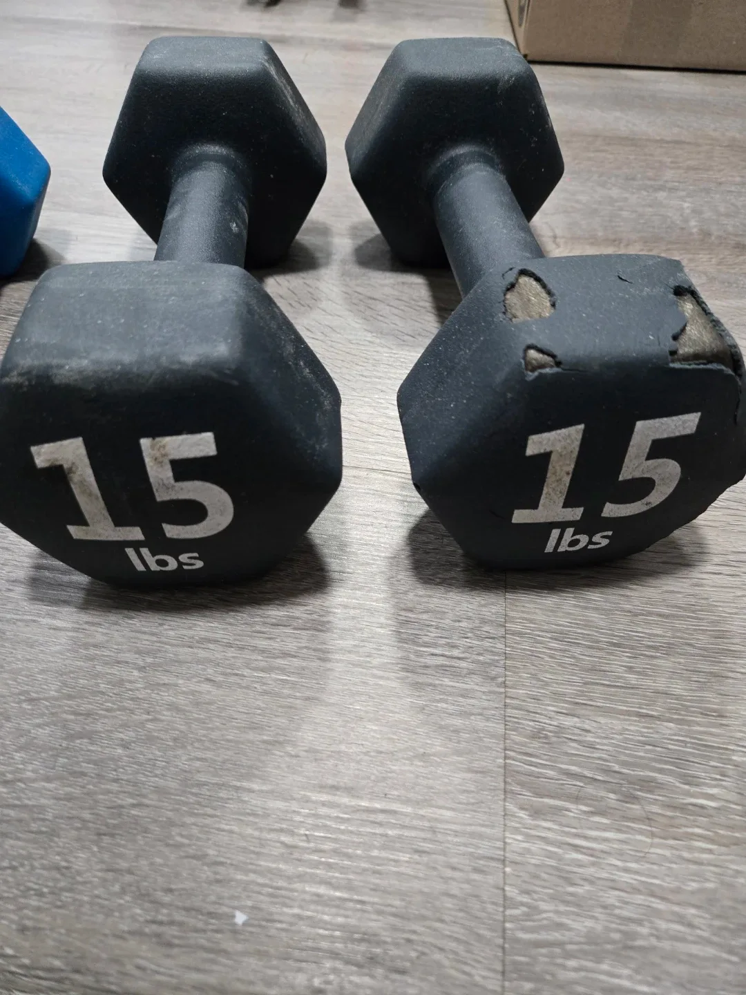 Dumbbell Sets: 10 LB & 15 LB image indicator(3)