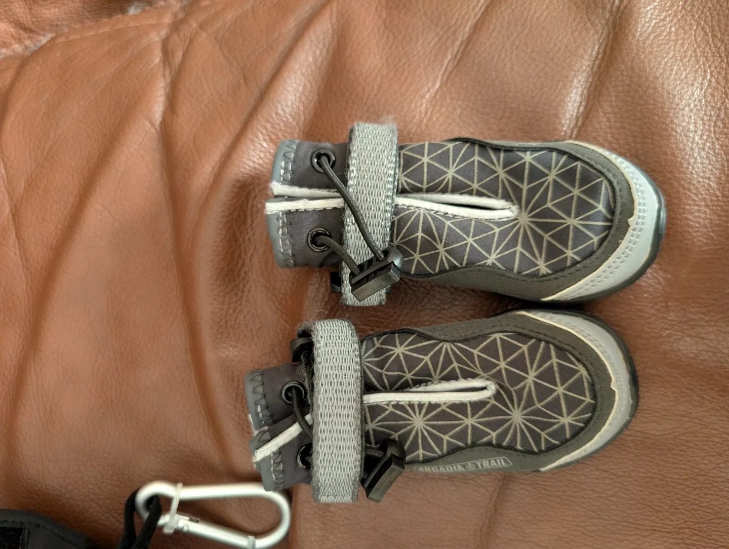 Arcadia Trail Dog Boots - Medium image indicator(3)