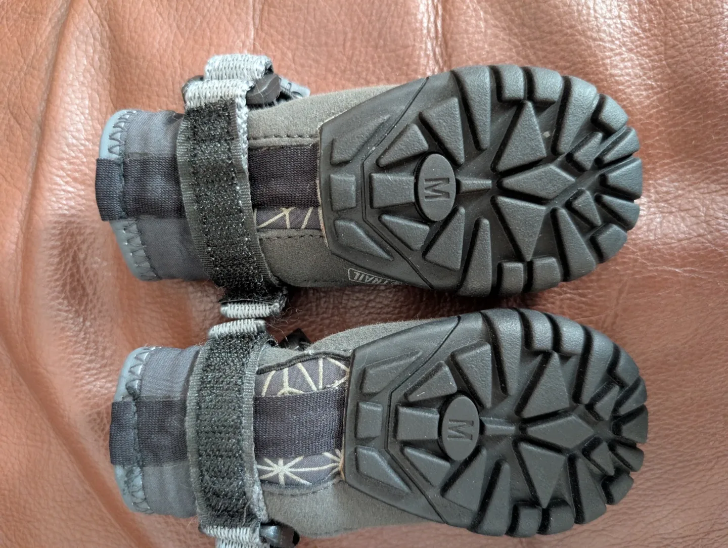 Arcadia Trail Dog Boots - Medium image indicator(4)