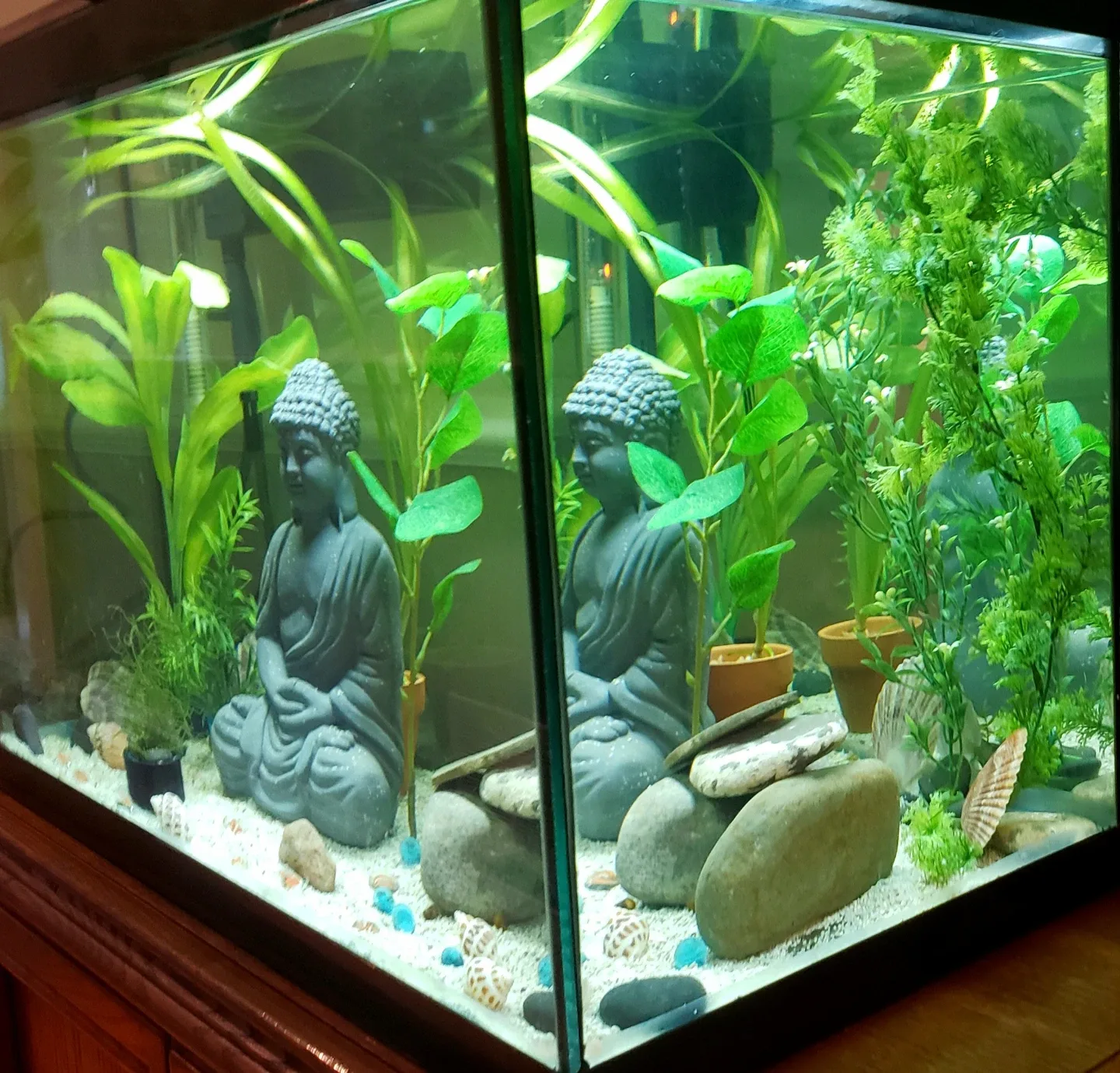 Aquarium 36 Gallon EVERYTHING US INCLUDED image indicator(3)