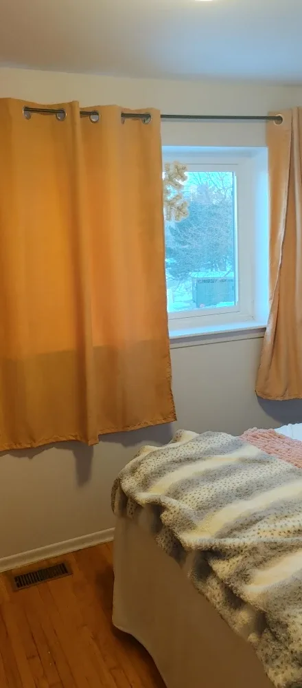 Large bedroom for rent image indicator(6)