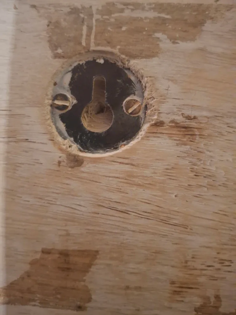 Dinosaur Wall Mounted Coat Rack image indicator(4)