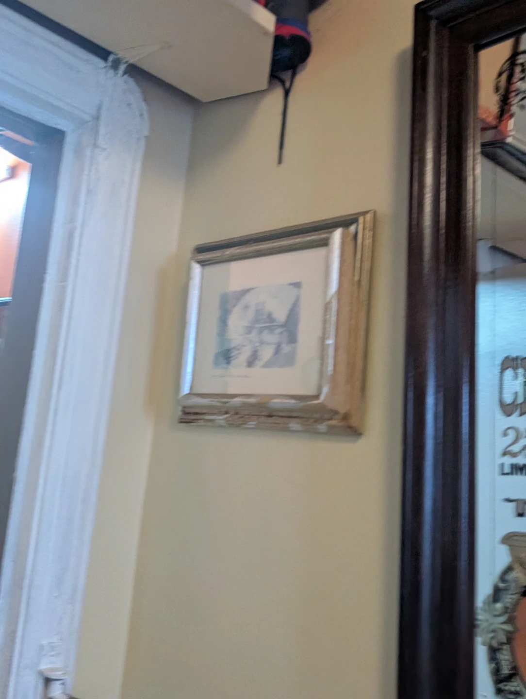 Paris Pont Alexandre III Framed Art