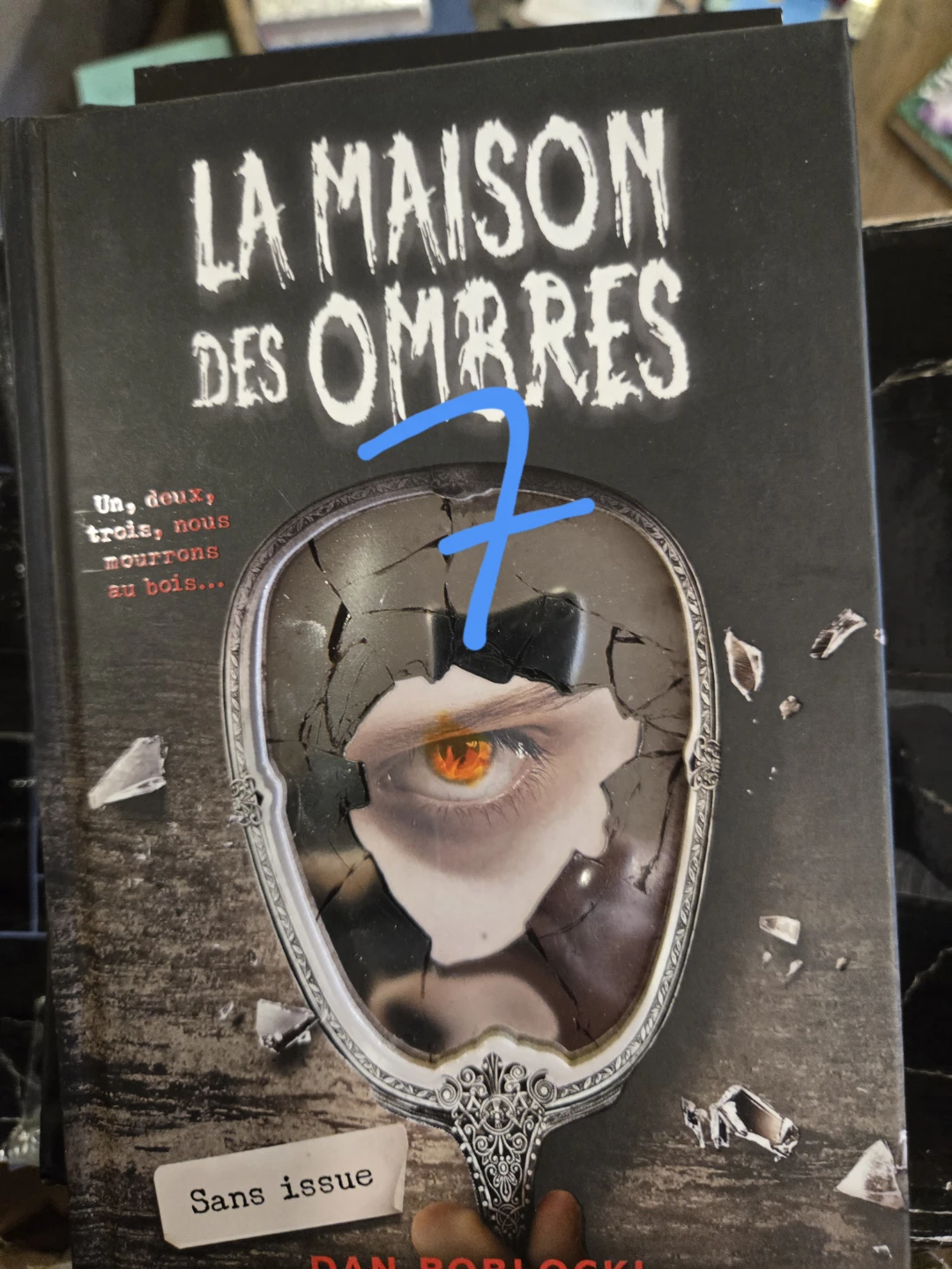 La Maison des Ombres Book Series - photo 3