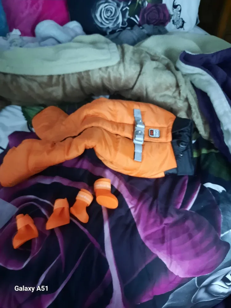 Puppia Orange Winter Coat & Boots