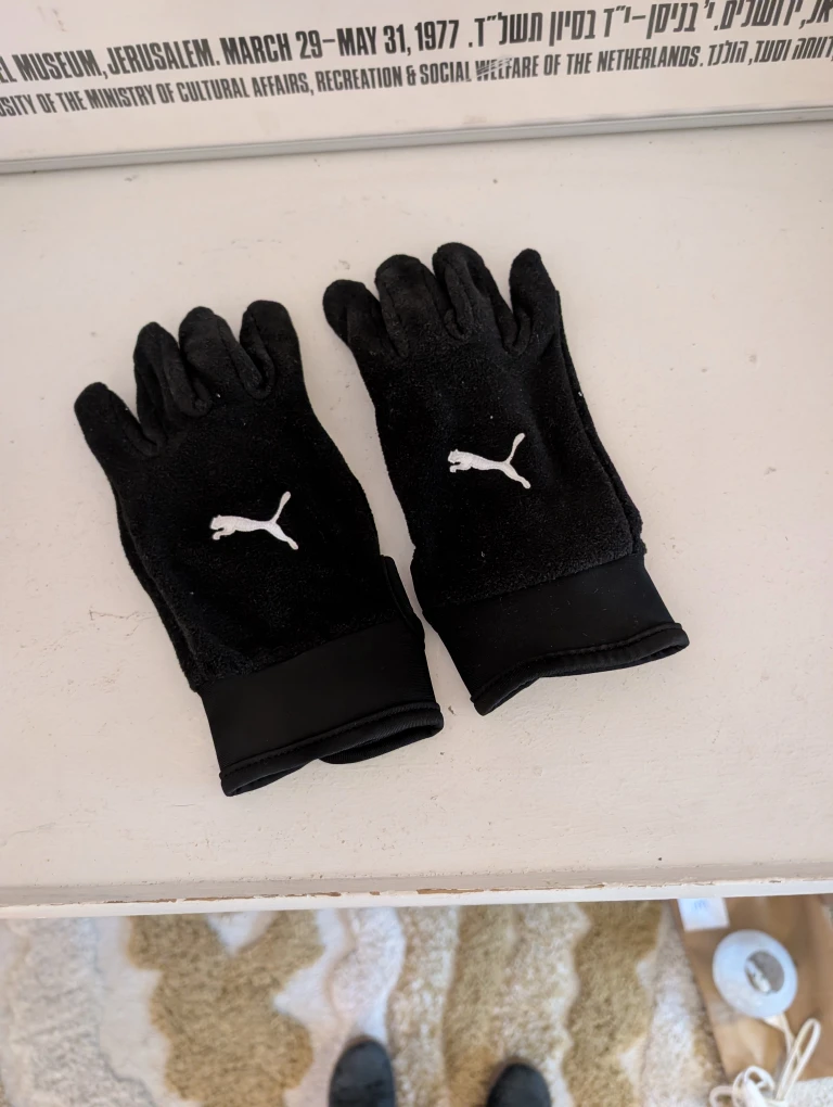 Puma Gloves