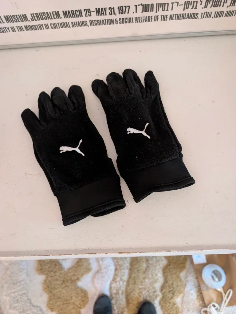 Puma Gloves