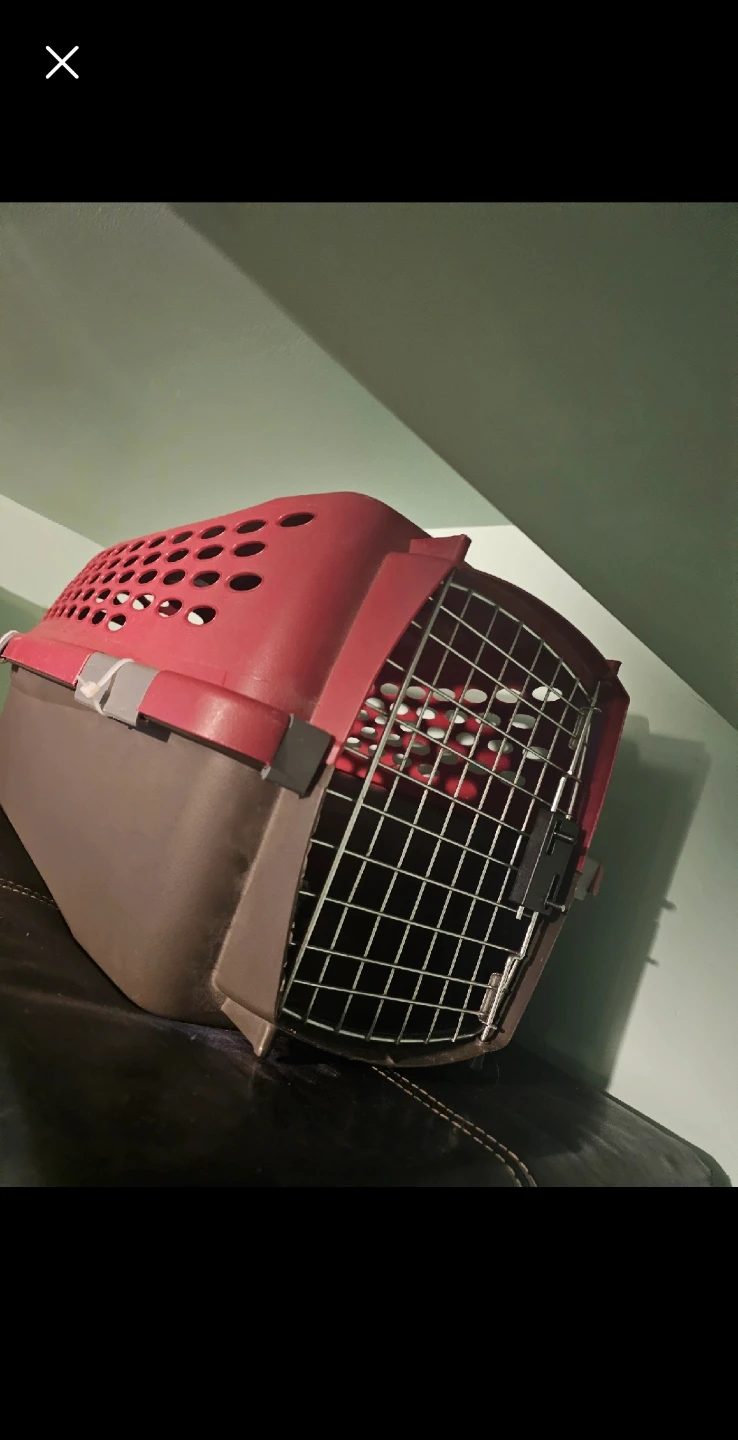 Cat cage with food