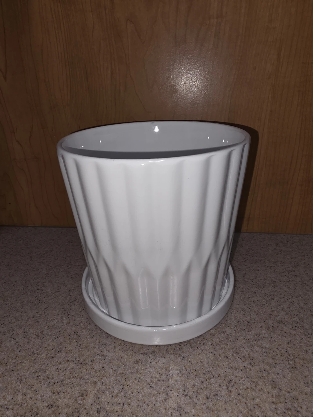 White Ceramic Plant Pot with Saucer