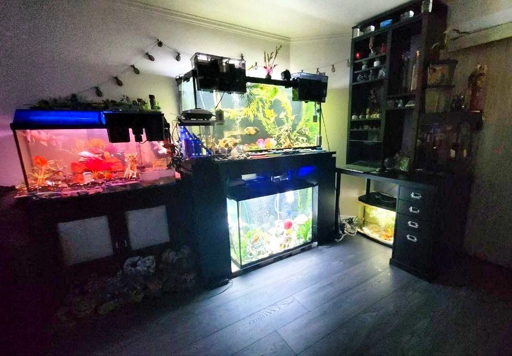 Rare High-Quality Corner 10 Aquariums set 300 gallons