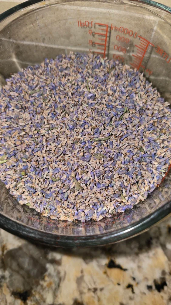 Lavender natural flowers 4cups #Cleanout image indicator(2)