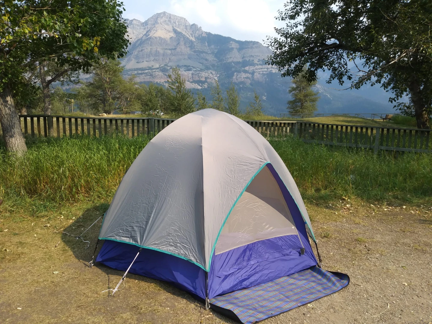 Tent kit for you and small pet