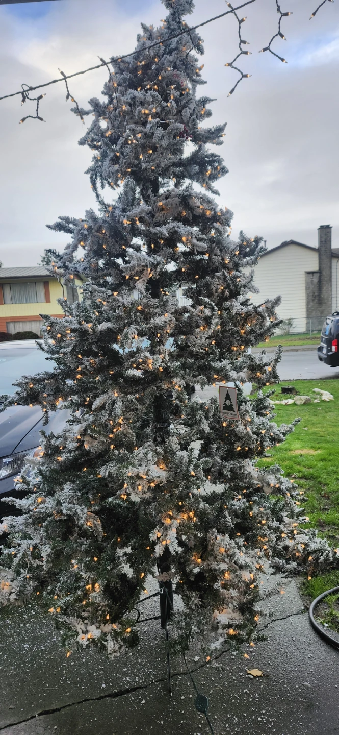 10 ft Vikerman pre lit Christmas tree - photo 2