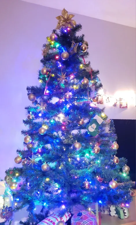 NOMA 6 1/2' Pre-Lit Colour-Changing Christmas Tree image indicator(2)