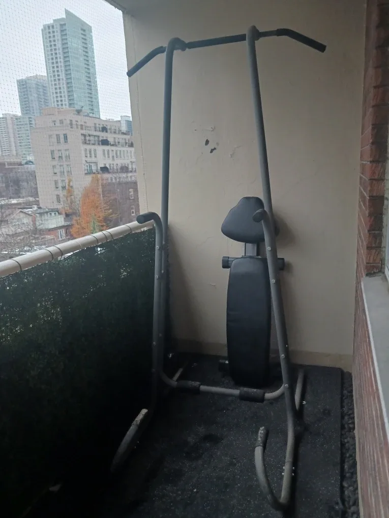 # cleanout Pull-Up and Dip Station