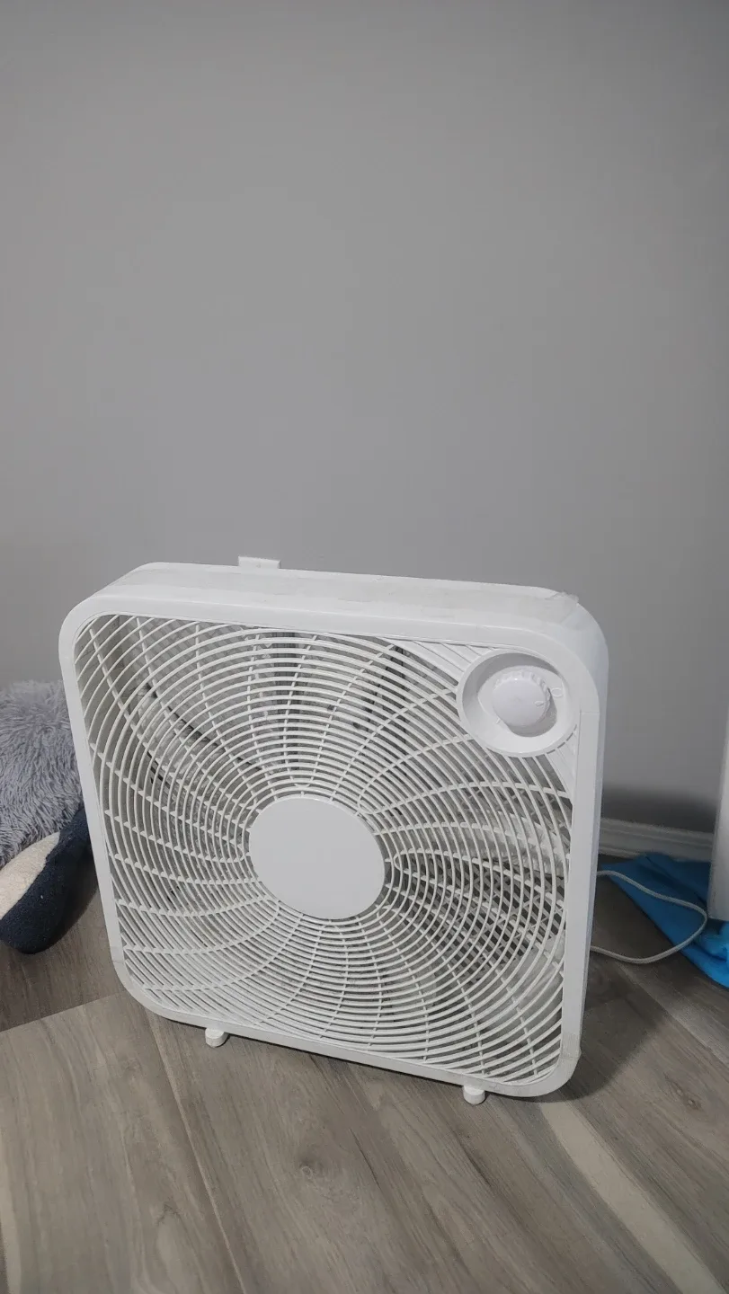 White Box Fan 20‘’