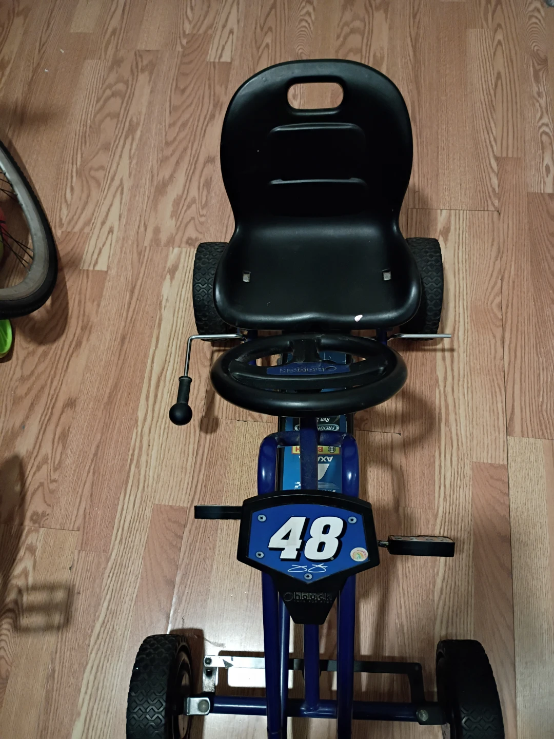 Hendrick Motorsports Pedal Go-Kart - photo 5