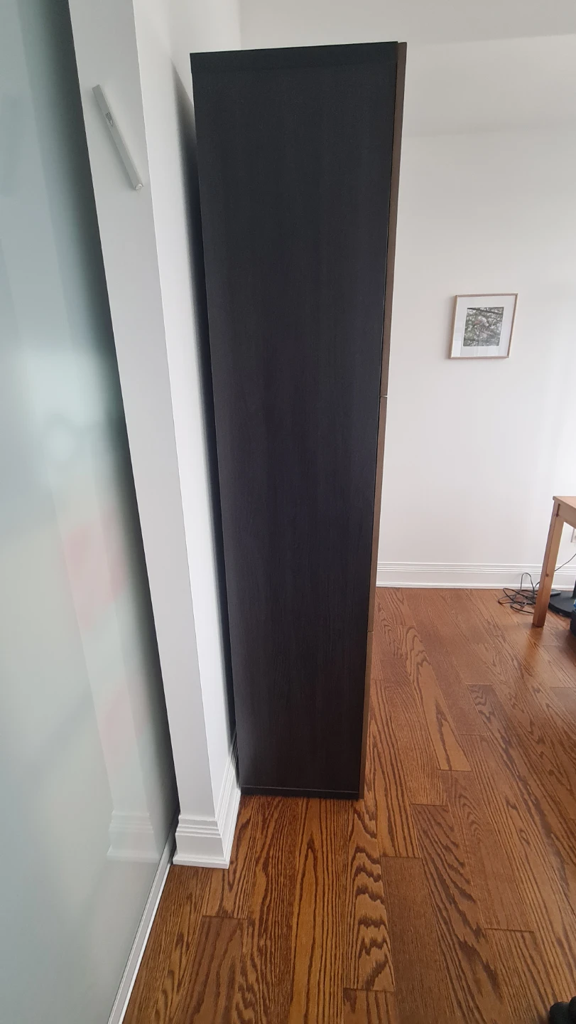 BESTÅ black-brown Cabinet,  with brown stained oak veneer front - photo 3