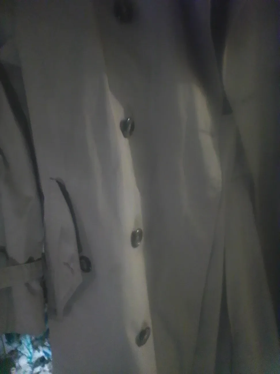 Trench coat image indicator(2)