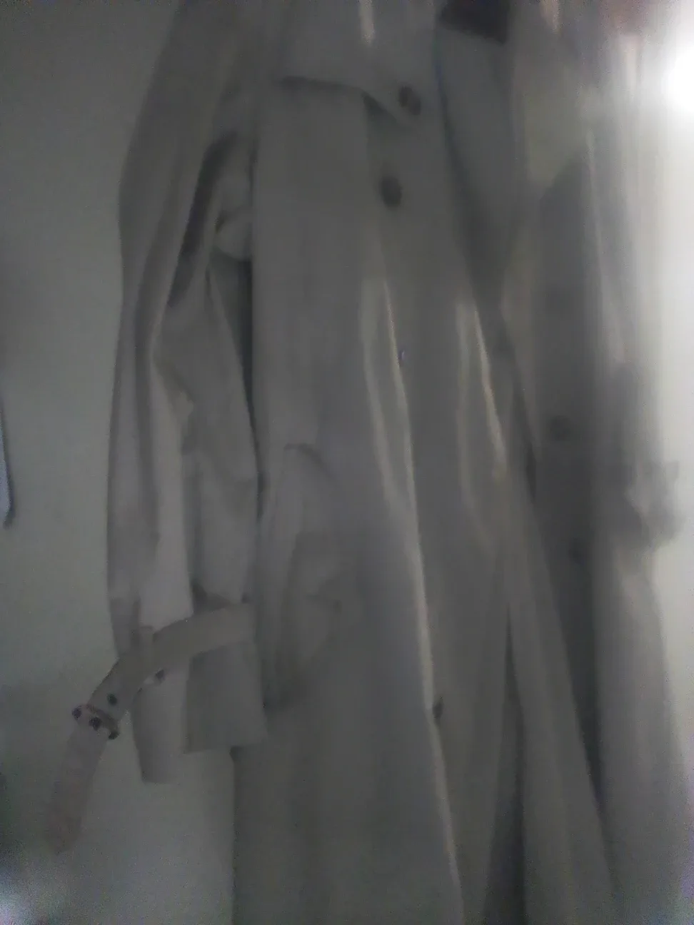 Trench coat image indicator(3)