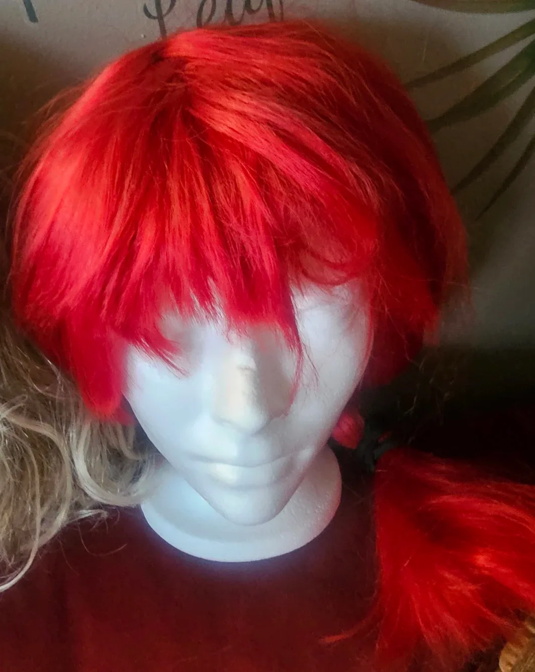 Assorted Coloured Wigs image indicator(4)