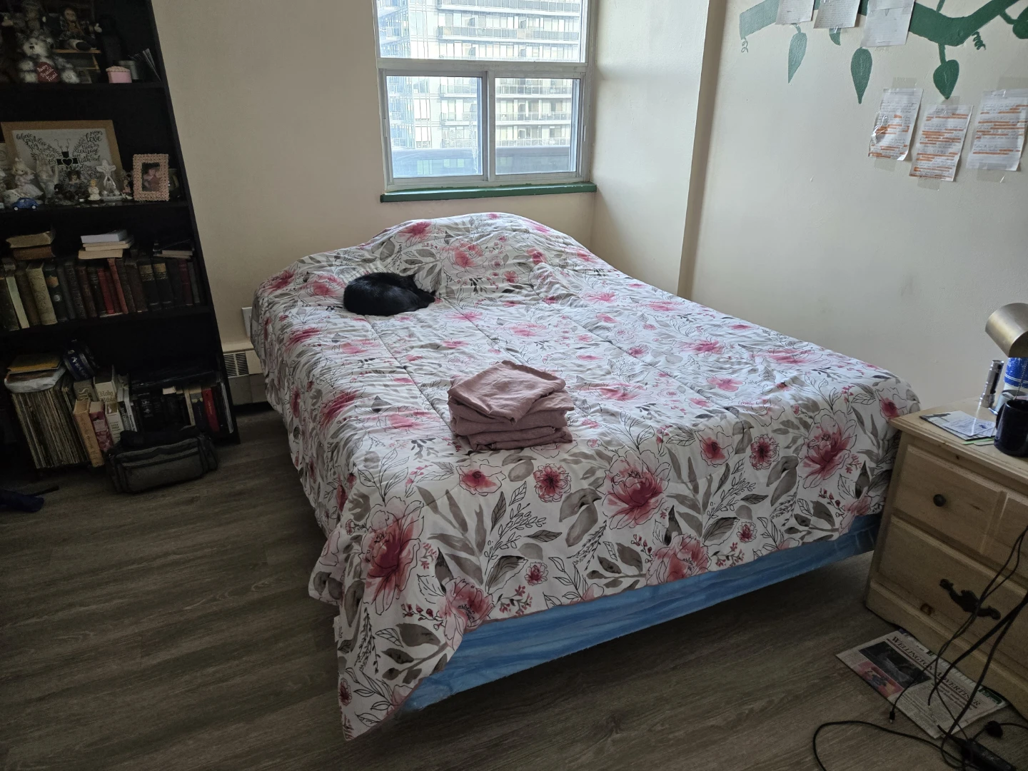 Queen gel memory foam mattress/ w box spring and frame