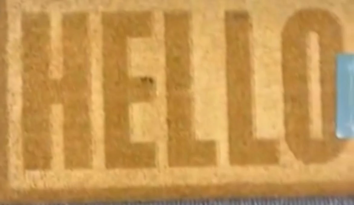 Hurry....*brand NEW* Coir doormat - new designs in !!! - photo 2