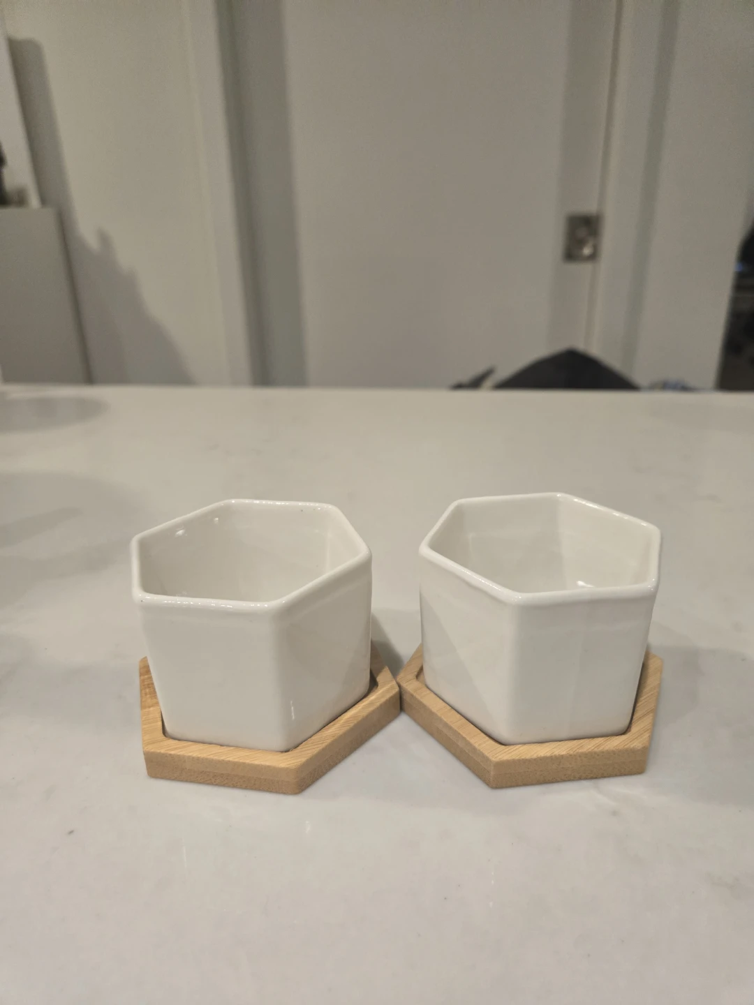 Set of 2 Small White Ceramic Planters