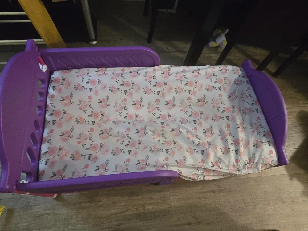 Toddler Bed with Mattress