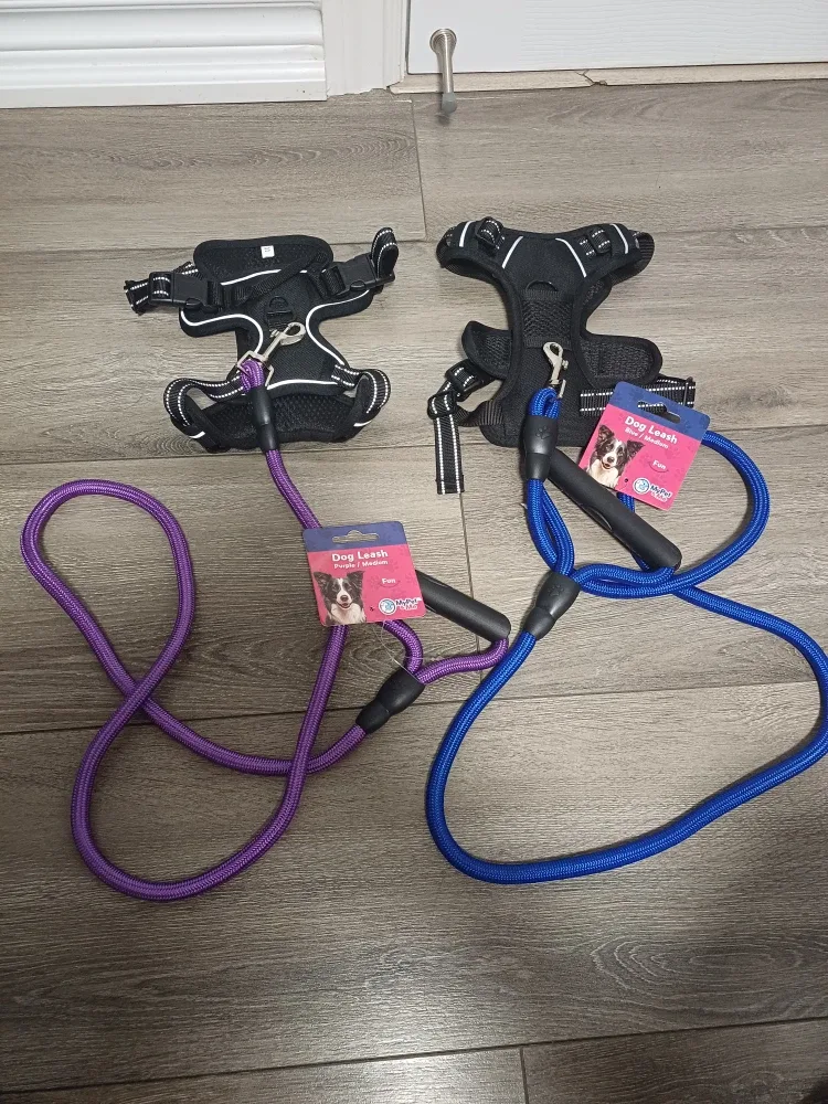 2x Top Paw Dog Harnesses & Leashes - Small image indicator(3)