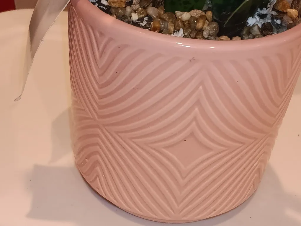 Artificial Snake Plant in Pink Pot image indicator(4)