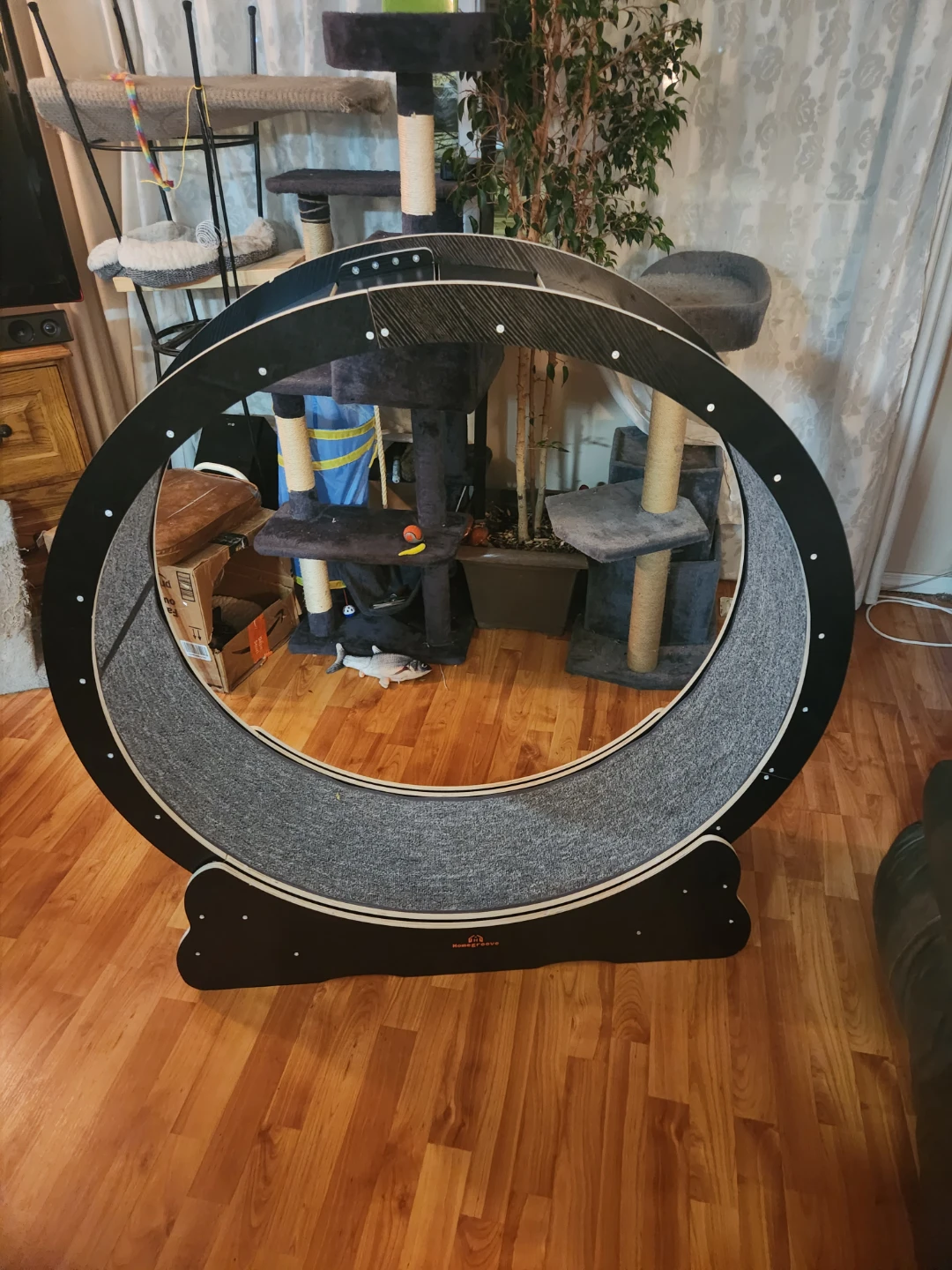 Cat Exercise Wheel - Black & Grey - photo 4