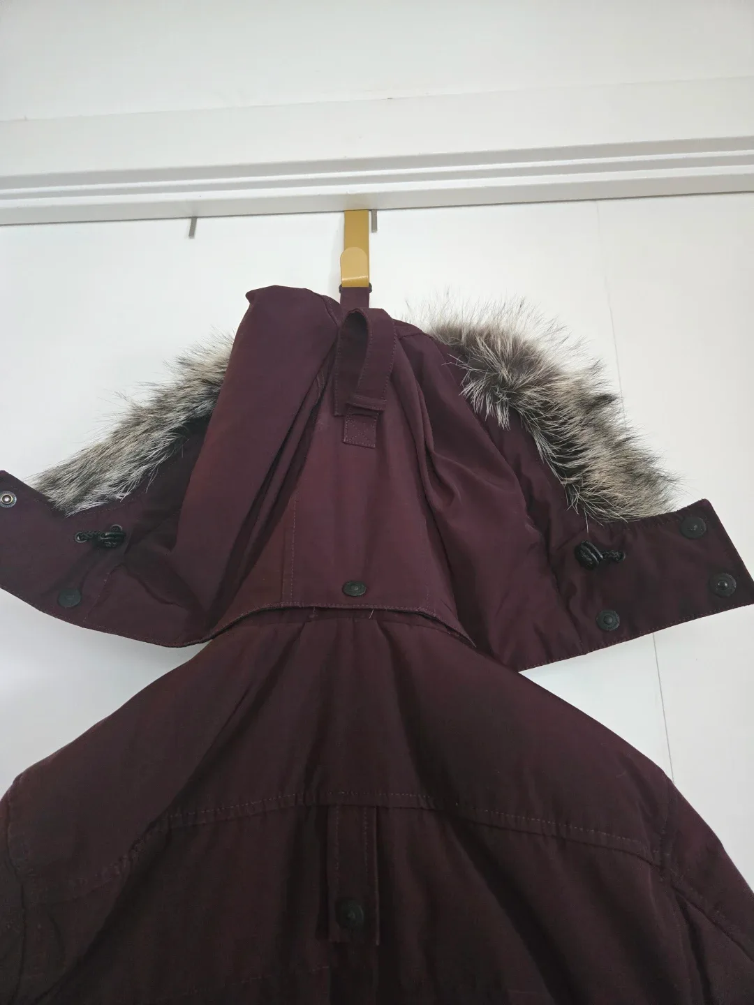 Moose Knuckles Down Bomber Jacket - Size S freshly dry cleaned image indicator(5)