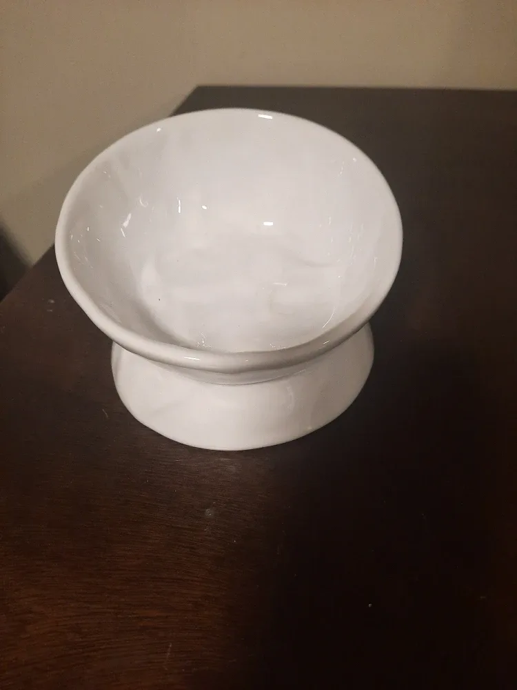 ABRUTY Ceramic Elevated Cat Bowl - White