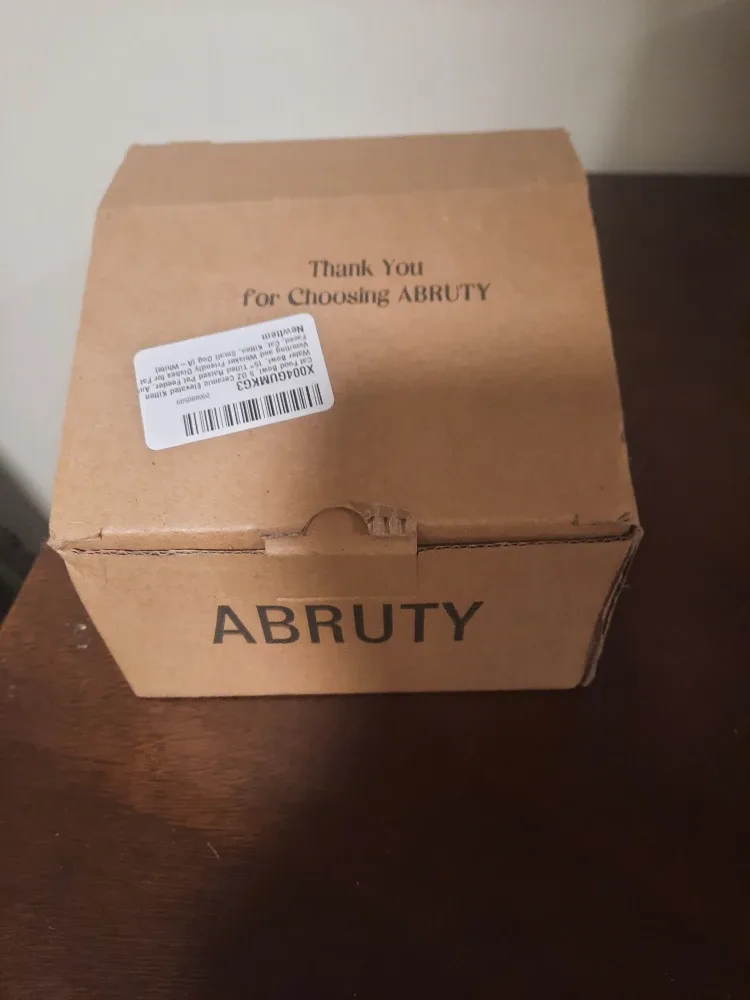 ABRUTY Ceramic Elevated Cat Bowl - White image indicator(2)