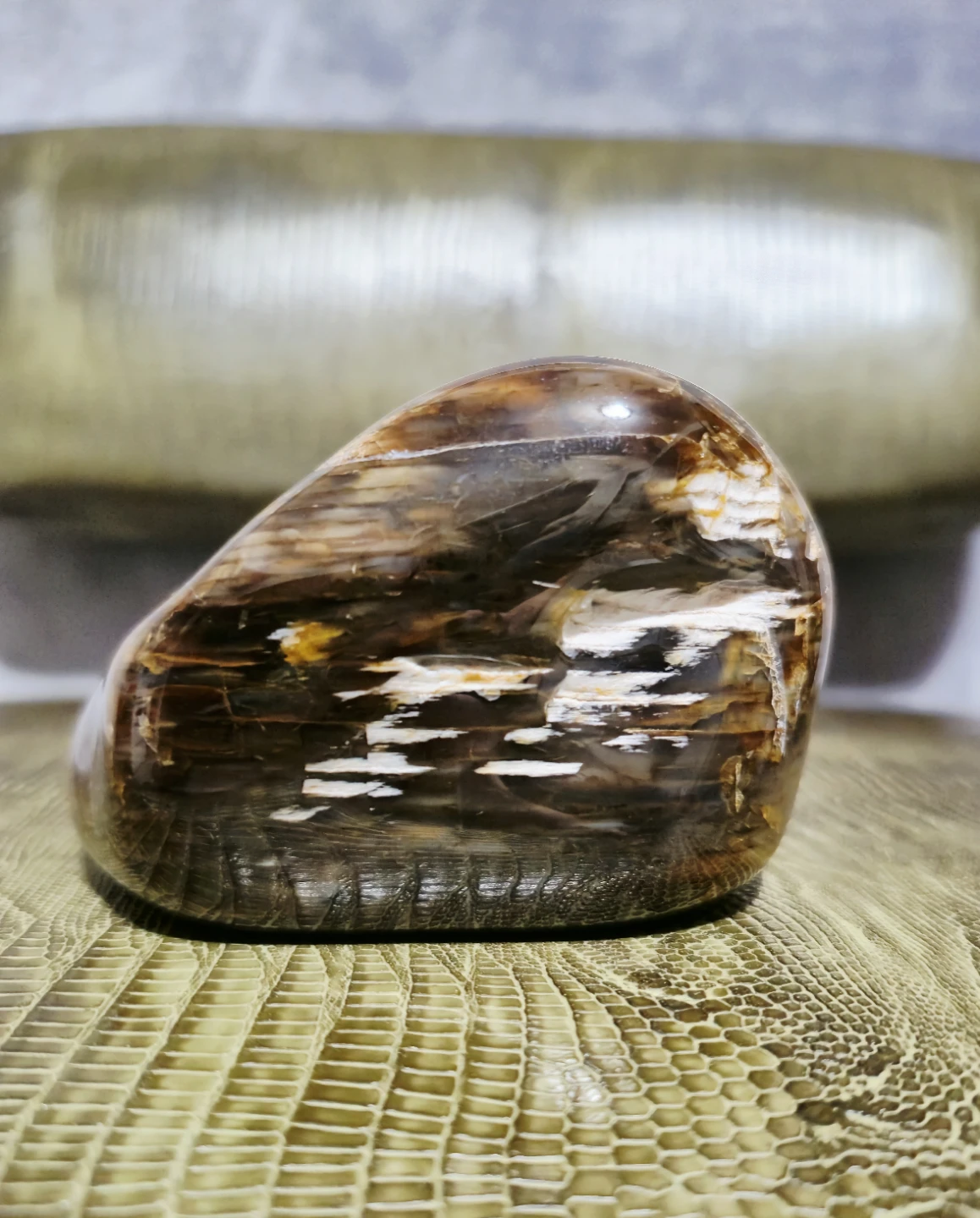 Polished Petrified Wood - photo 2