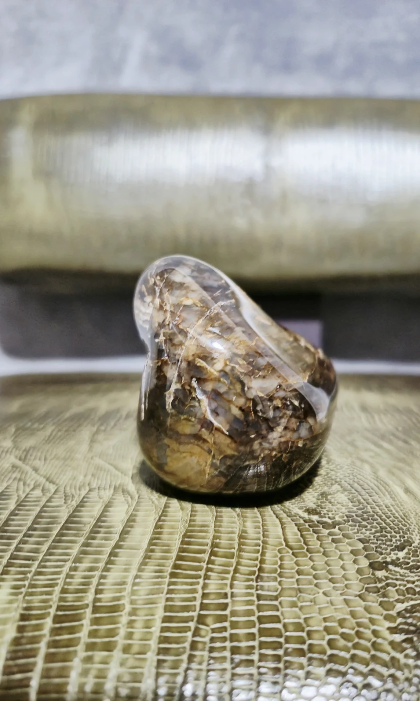 Polished Petrified Wood - photo 3