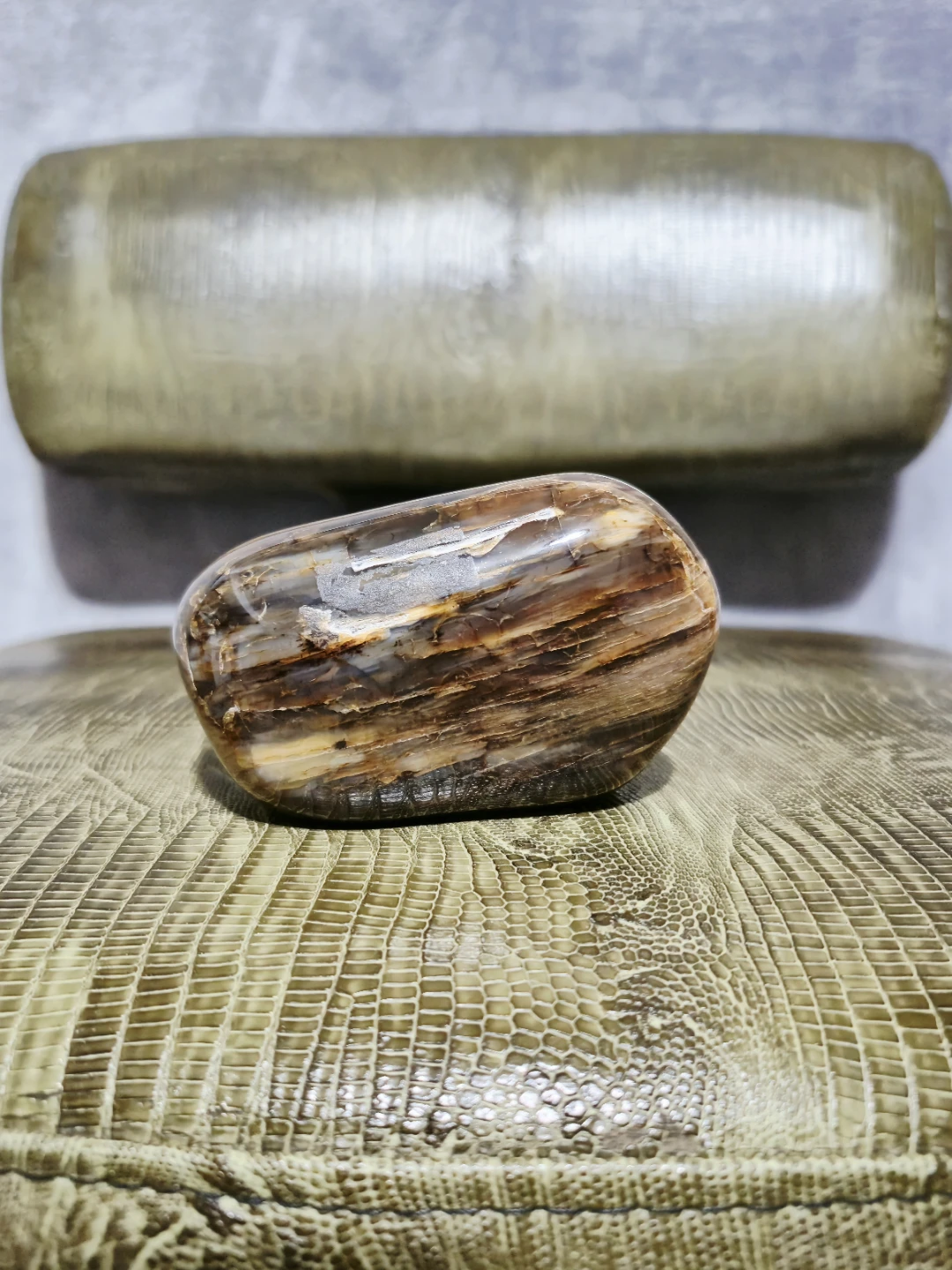 Polished Petrified Wood - photo 4
