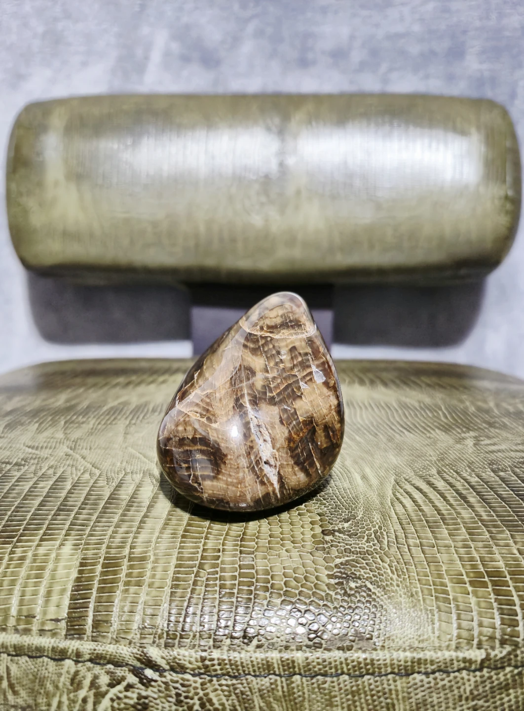 Polished Petrified Wood - photo 5