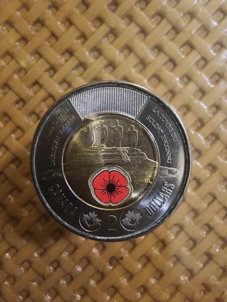 Canadian Toonie Collection image indicator(2)