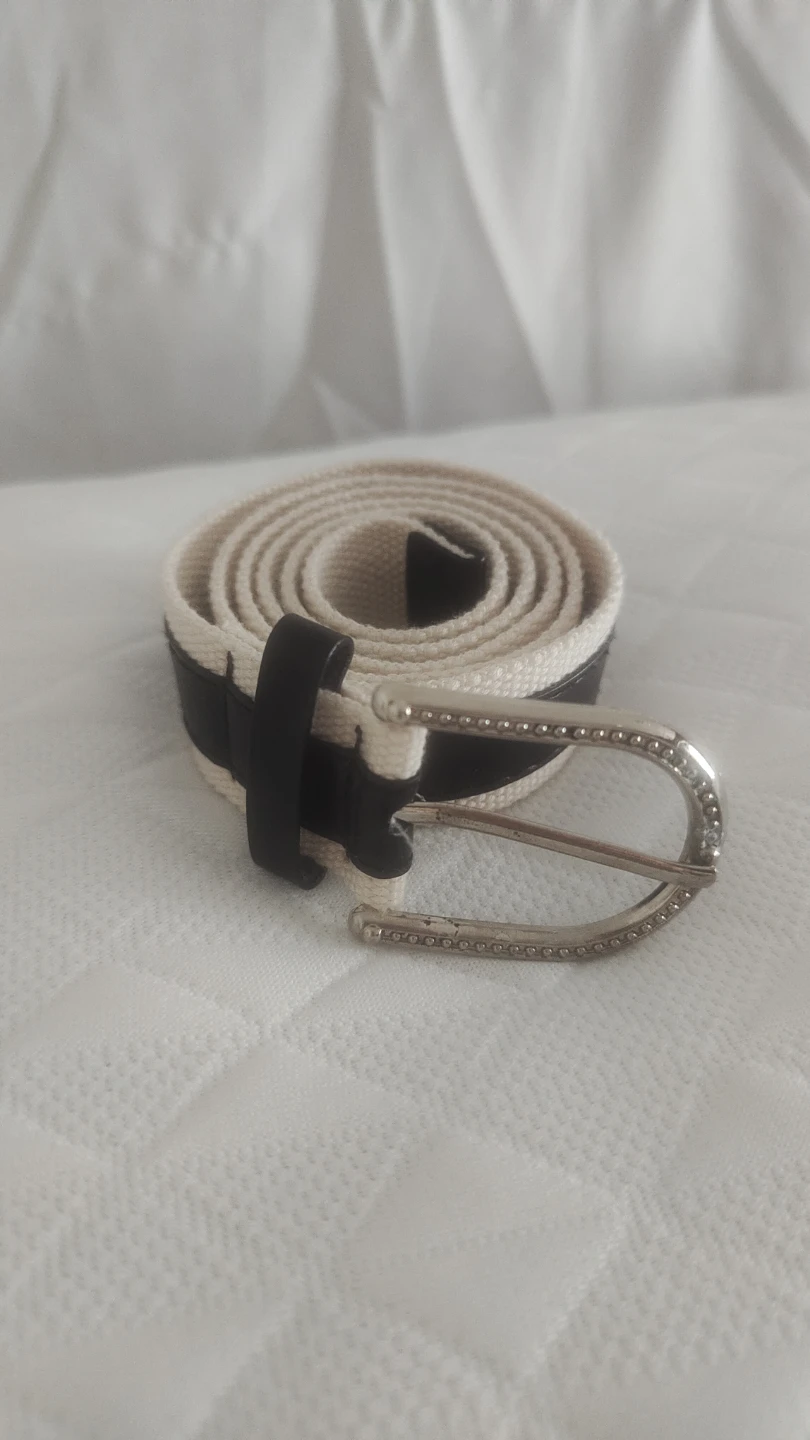 Striped Belt with Silver Buckle