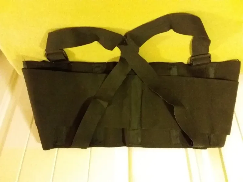 🎅 Bollinger Healthcare Back Support Belt