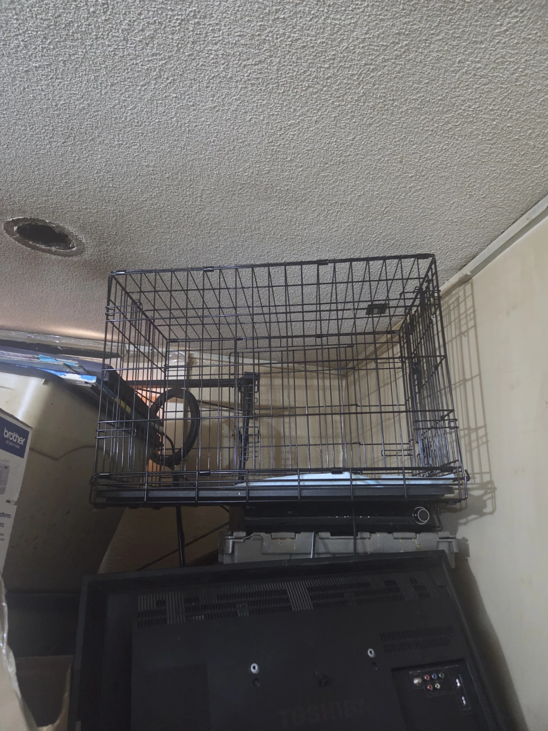 Dog Cage